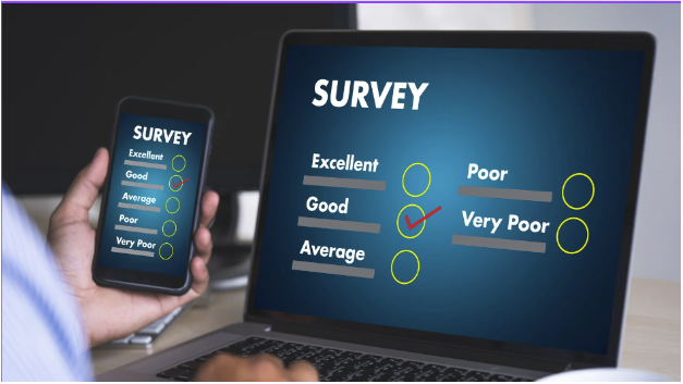 Developing Quality Questionnaires for Market Research